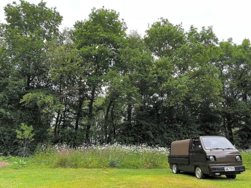 Classic VW campervan parked on green grounds at Postwood Gardens Campsite in Kentisbeare with woodland backdrop