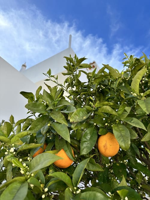 Algarve