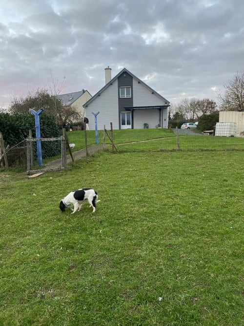 Grande maison arborée, vaste terrasse avec barbecue ,table de ping-pong ;poules, oies, moutons, étang avec poissons à pécher Accès autonome par un escalier extérieur. Jardin arboré, potager partagé. Parking sécurisé, camion ,voiture.