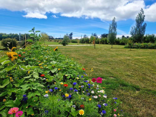 Parc en fleurs un été aux maisons de Kerdavid ile à belle ile en mer