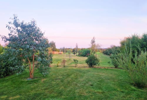 Jardin aux couleurs du soir de la maison Bordardoué aux maisons de kerdavid ile à belle ile en mer