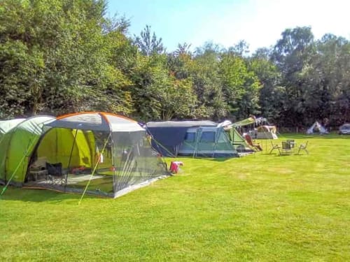 Multiple tents pitched at Postwood Gardens Campsite in Kentisbeare, set on a spacious green field surrounded by trees