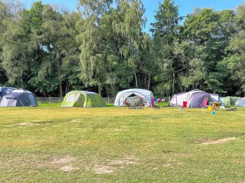 Postwood Gardens Campsite tents pitched on grassy field with trees, Kentisbeare