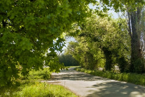 vue sur la route autour du mas des olivades en provence au sud de la france
