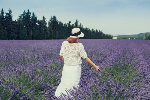 femme se promenant dans un champs de lavande en provence