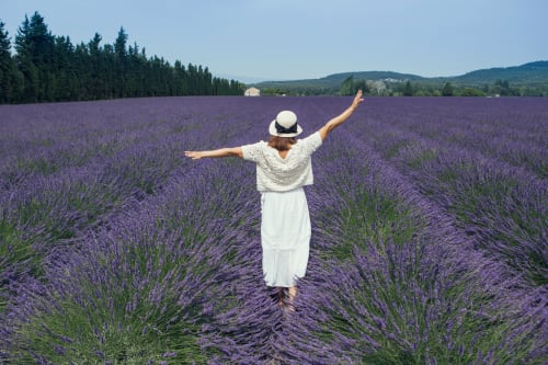 femme se promenant dans un champs de lavande près du mas des olivades au sud de la france en provence