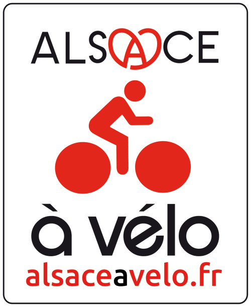 Balade à vélo électrique dans les vignes sur la route des vins d’Alsace