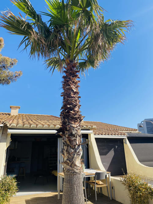 La terrasse, solarium