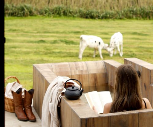Guest relaxing at Villa Várzea reading with goats grazing in Portuguese countryside garden