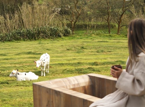 Woman at Villa Várzea viewing goats grazing in pastoral Portuguese countryside garden