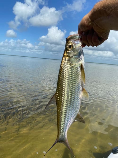GREAT FLY FISHING