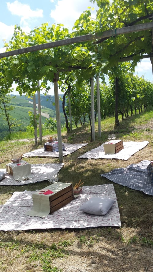 Allestimento per picnic in vigna all'aperto presso Dimora i Manichei, Monforte d'Alba, con pergolato di viti e dolci colline.