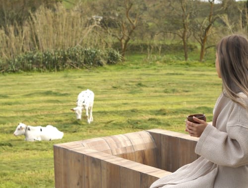 Woman with coffee overlooking goats grazing at Villa Várzea's Barn Nest in Portugal