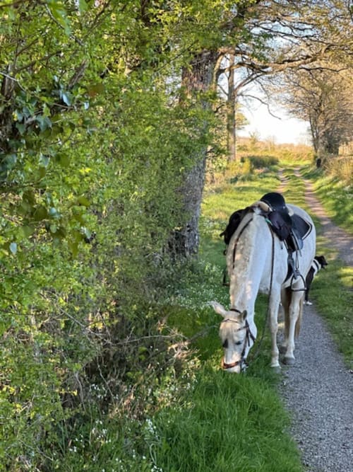 Randonneur avec sac à dos sur un sentier rural bordé d'arbres près de La Maison De Fleurat à Domeyrot, France