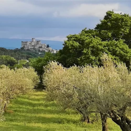 Vue sur le château du Barroux-Le mas de la Lause-Chambre d'hôtes de charme