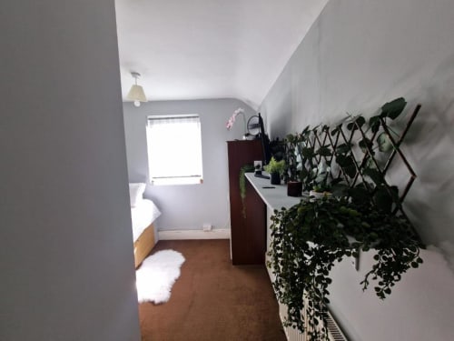 clean and private room