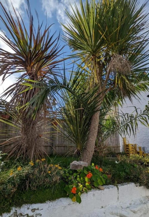Bed and breakfast with private garden Cornwall