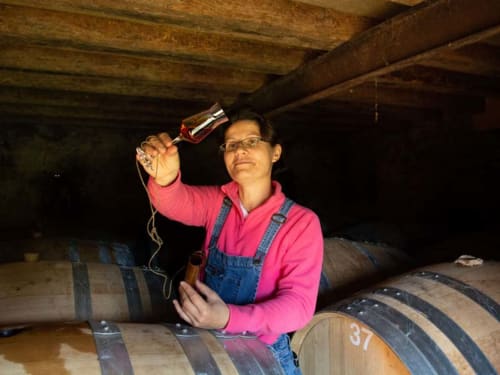 Astrid Hubert dans son cellier propriétaire des Vergers de la morinière proche du Domaine des Thomins Maison d'hôte Cisai Saint-Aubin Hôtel Gacé