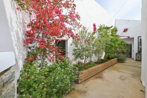 View of the interior garden of the underground villa for rent on the island of Tinos, Cyclades, Greece