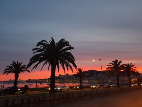 Coucher de soleil près de VillaSerenita, Ajaccio, Corse avec palmiers, voitures garées et vue sur le port méditerranéen