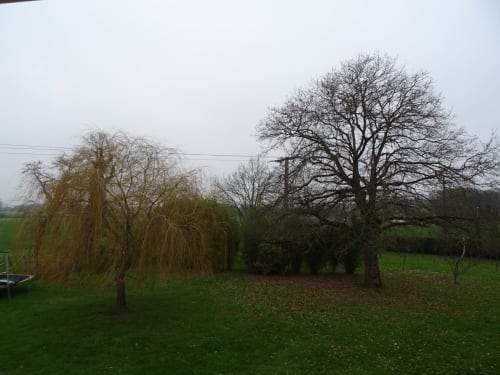 Vue du jardin au CafecouetBreizh B&B à Guipry-Messac avec arbres nus et pelouse verte au printemps