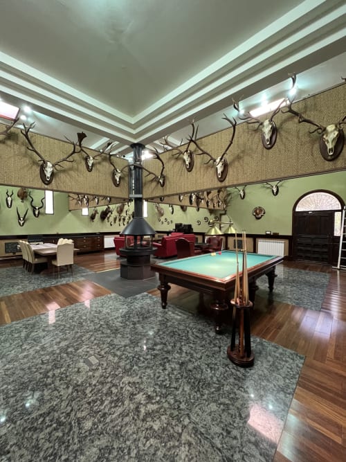 Sala de recreo en Villa Luxury PLUS con billar, chimenea, trofeos de caza y zona de descanso cerca del Puy Du Fou
