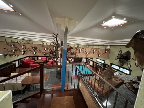 Salón de villa de lujo con 200 trofeos de caza,  cerca del Puy du Fou, Arges, Toledo, España
