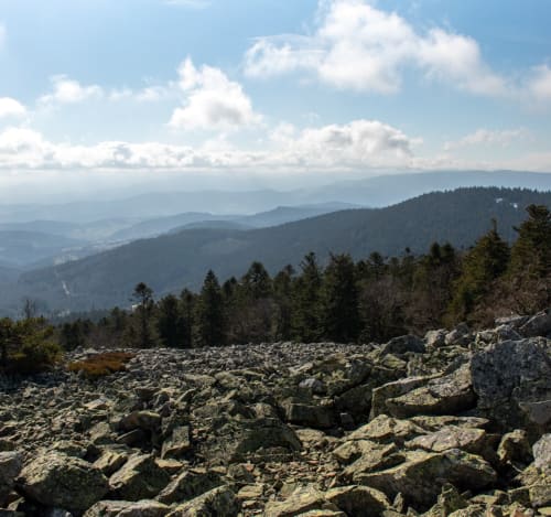 Vue panoramique sur les montagnes rocheuses et vallées boisées près de Saint Pierre de Boeuf, France