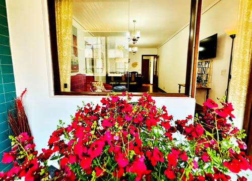 Flores rojas vibrantes enmarcan la entrada del apartamento Breixo en Baiona, con vistas a la ciudad visibles a través de la ventana