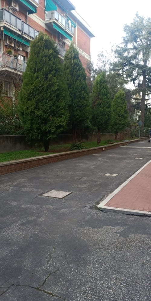 Vrt apartmana EmilBo' s visokim cipresama i opekom fasadom u San Lazzaro di Savena