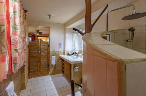 Spacious bathroom in Tucan room at Villa Mango B&B, Nosara with wooden vanity, large mirror, and walk-in shower