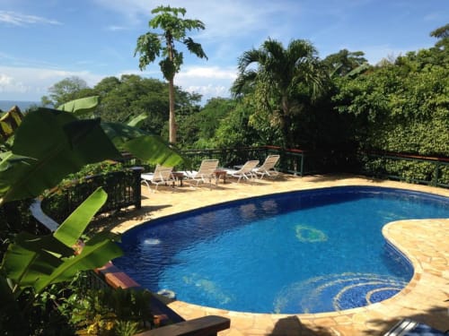 Swimming pool at Villa Mango B&B in Nosara, Costa Rica, surrounded by tropical plants and lounge chairs