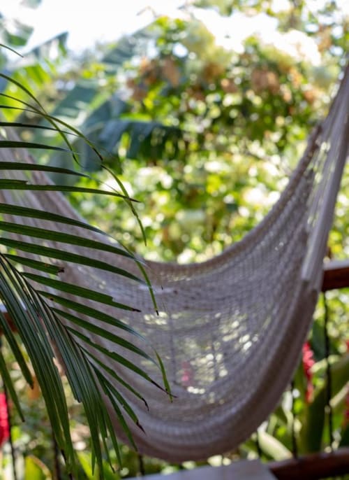 Relaxing hammock surrounded by lush tropical garden at Villa Mango B&B in Nosara, Costa Rica
