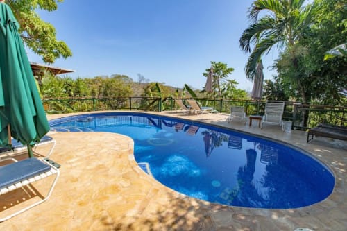 Blue oval pool with patio at Villa Mango B&B in Nosara, Costa Rica, surrounded by tropical gardens