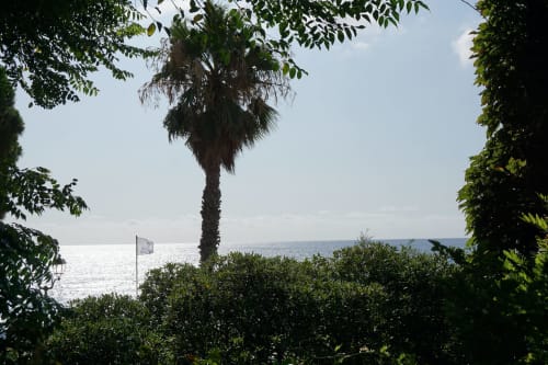 Palme und Blick auf das Mittelmeer aus dem Garten des Hotel Beau Rivage in Alassio, Italien