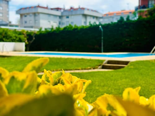 Flores amarillas en flor en el jardín con piscina y apartamentos de Baiona de fondo