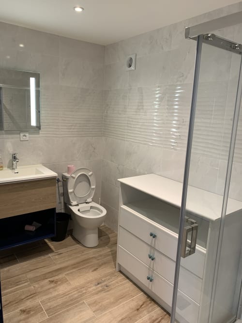 Salle de bain moderne au Gîte du Port à Saint-Pierre-de-Boeuf avec douche, toilettes et vasque