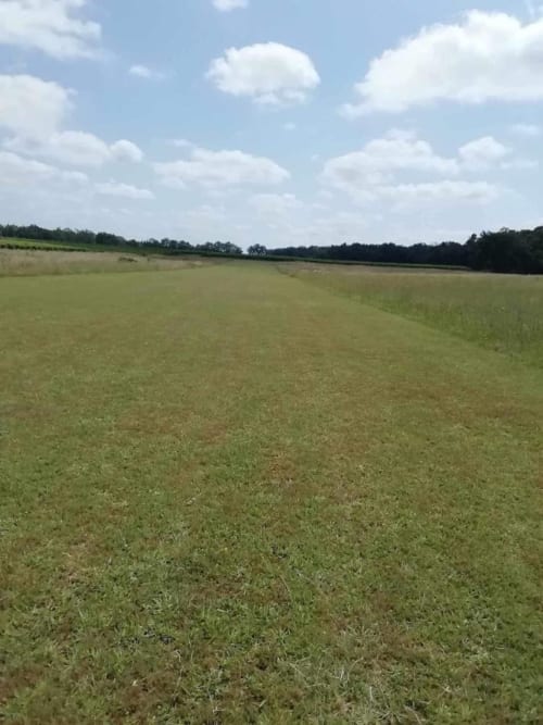 Vaste paysage de champ vert près de Les papillons de baccara à Gondrin, France, sous un ciel nuageux bleu
