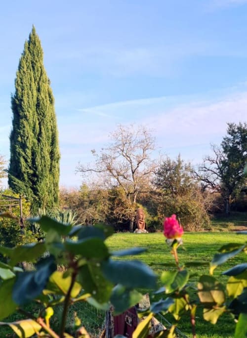 Jardin paisible des Papillons de Baccara à Gondrin avec cyprès majestueux et fleurs en floraison