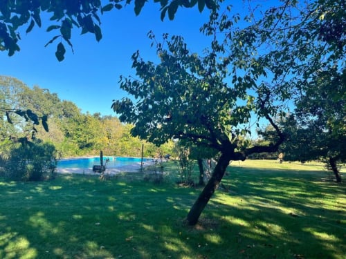 Piscine ensoleillée du gîte Les papillons de baccara à Gondrin, entourée d'arbres matures