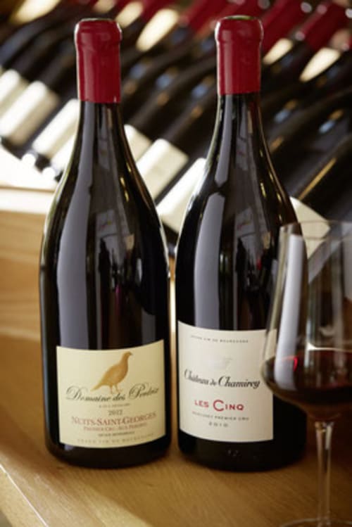 Two red wine bottles from Mercurey displayed at Les Maisons de Chamirey wine collection