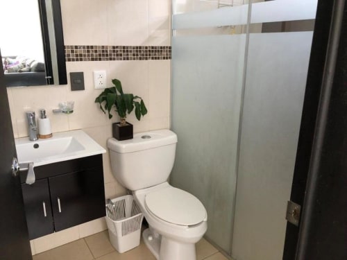 Baño moderno en Zoogocho Boutique House con inodoro blanco, lavamanos negro, ducha con cristal y planta decorativa