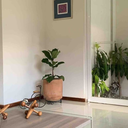 Interior iluminado con planta en maceta y esculturas decorativas de madera cerca de puertas de cristal en la cabaña Casa Palmeras, Oaxaca