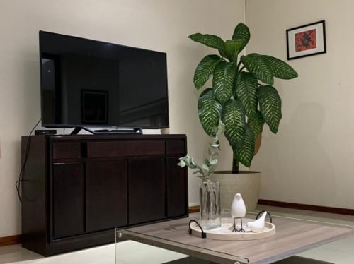 Sala de estar moderna en Casa Palmeras con televisor pantalla plana en mueble oscuro, planta en maceta y accesorios decorativos