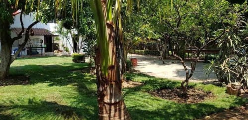 Lush shared garden at El Nogal House in San Andrés Huayapam with mature trees, green lawn, and rustic buildings nearby