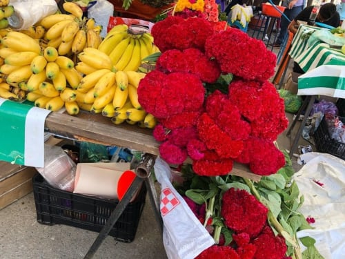 Colorful produce at local market in San Andrés Huayapam - yellow bananas and vibrant red flowers displayed at vendor stall