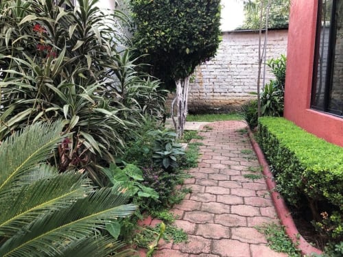 Narrow garden pathway at El Nogal House with brick walkway, lush plants, and red-walled building in San Andrés Huayapam