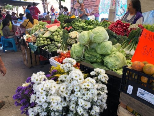 Vibrant farmers market in San Andrés Huayapam with fresh vegetables, flowers, and local produce displays