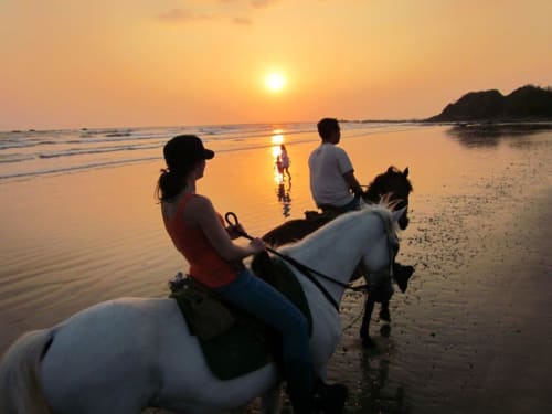 Sunset horseback riding on Nosara beach with guests at Villa Mango B&B, Costa Rica