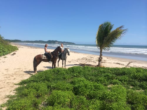 Horseback riders on Nosara beach with palm tree and ocean waves at Villa Mango B&B